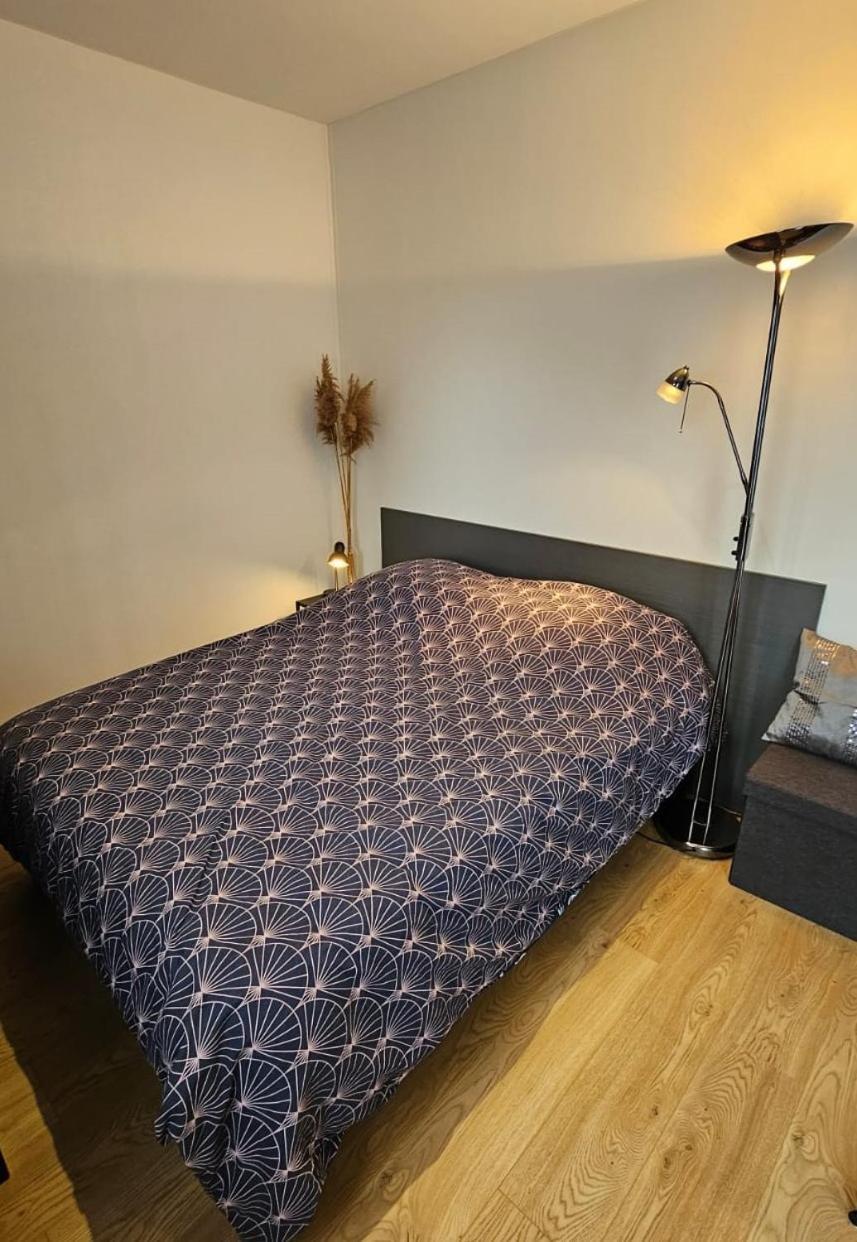 Studio Les Deux Grenouilles 5Mn De Colmar Herrlisheim-près-Colmar Dış mekan fotoğraf