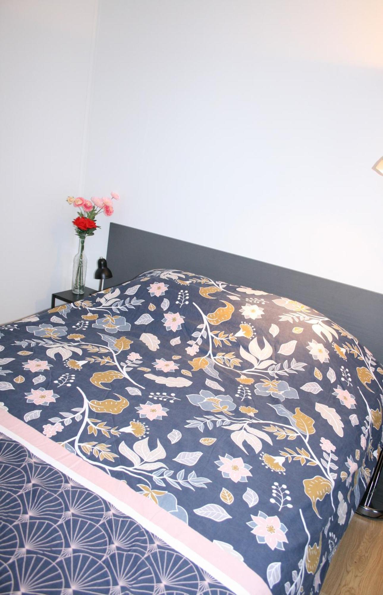 Studio Les Deux Grenouilles 5Mn De Colmar Herrlisheim-près-Colmar Dış mekan fotoğraf